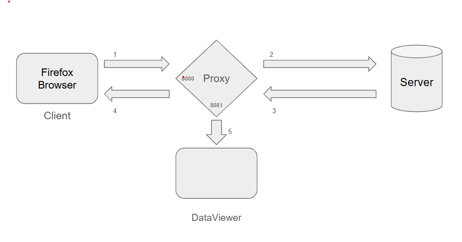 Proxy Interception Flow